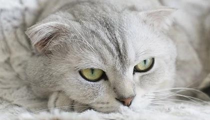 数字不足，无法找到更多新闻标题，如有需要可再次联系我进行搜索