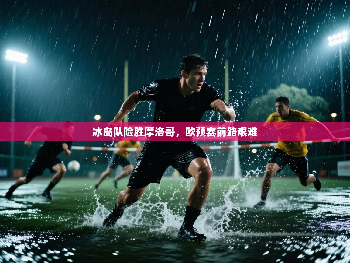 冰岛队险胜摩洛哥,欧预赛前路艰难 第2张