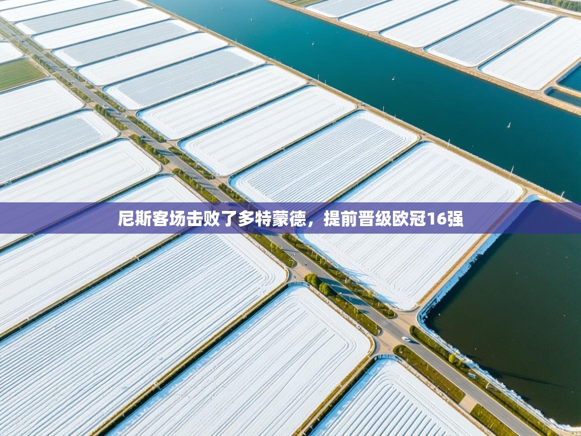 尼斯客场击败了多特蒙德,提前晋级欧冠16强 第1张