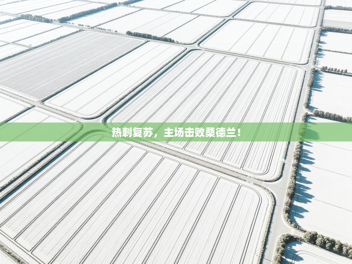 热刺复苏,主场击败桑德兰! 第1张