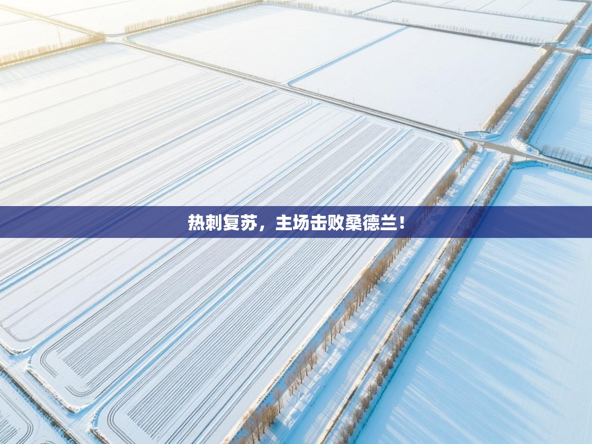 热刺复苏,主场击败桑德兰! 第2张